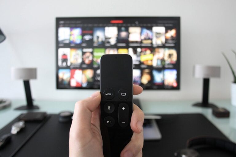 What are the Buttons on the Firestick Remote?